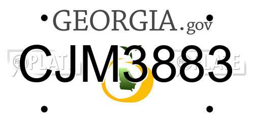 CJM3883 Georgia License Plate