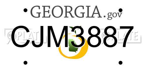 CJM3887 Georgia License Plate