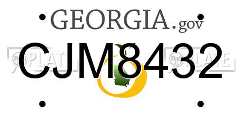 CJM8432 Georgia License Plate