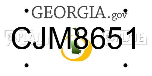 CJM8651 Georgia License Plate