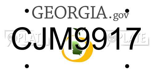 CJM9917 Georgia License Plate