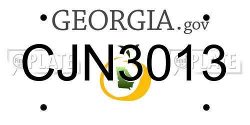 CJN3013 Georgia License Plate