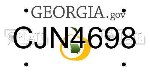CJN4698 Georgia License Plate