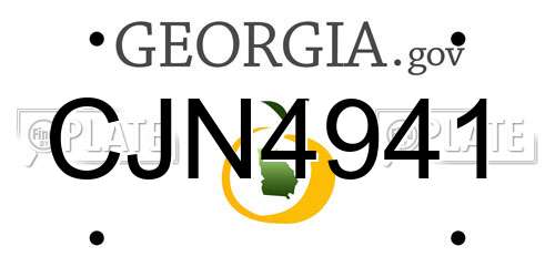 CJN4941 Georgia License Plate