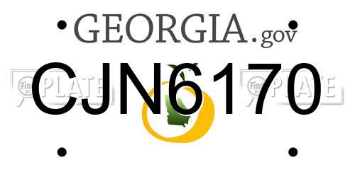 CJN6170 Georgia License Plate