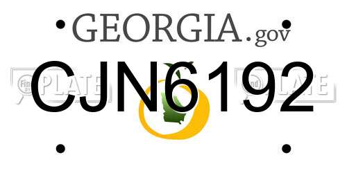 CJN6192 Georgia License Plate