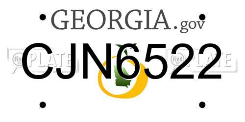 CJN6522 Georgia License Plate