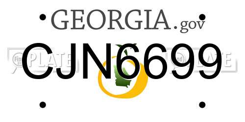 CJN6699 Georgia License Plate
