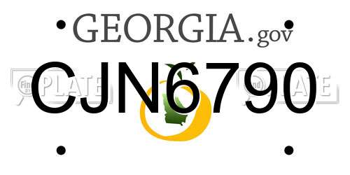 CJN6790 Georgia License Plate