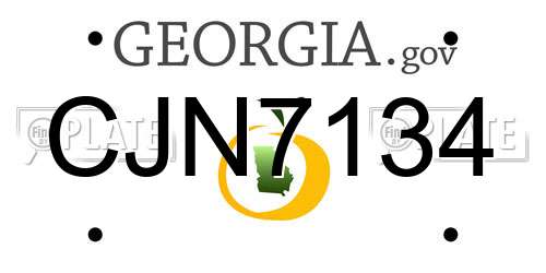 CJN7134 Georgia License Plate