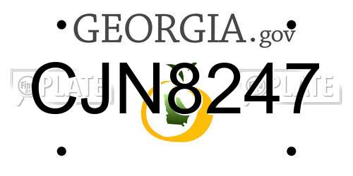CJN8247 Georgia License Plate