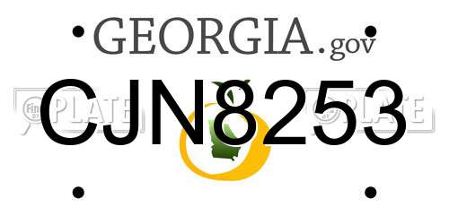 CJN8253 Georgia License Plate