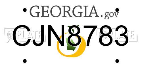 CJN8783 Georgia License Plate