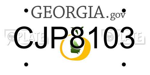 CJP8103 Georgia License Plate