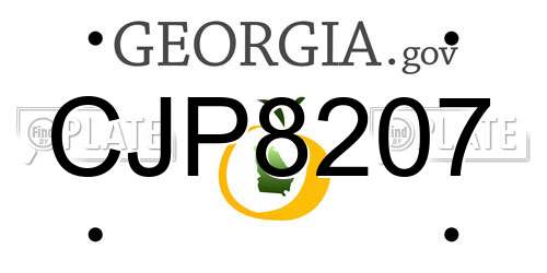 CJP8207 Georgia License Plate