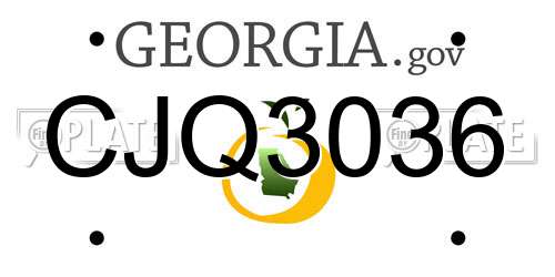 CJQ3036 Georgia License Plate