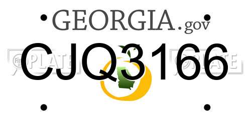 CJQ3166 Georgia License Plate