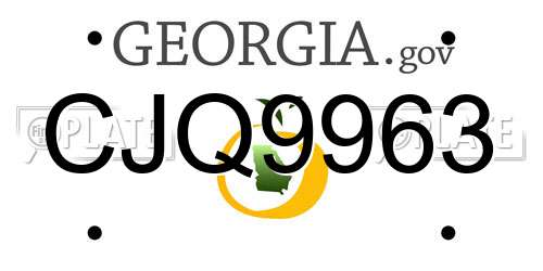 CJQ9963 Georgia License Plate