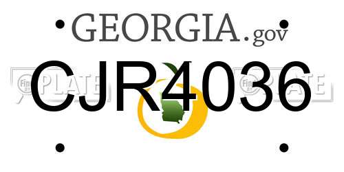 CJR4036 Georgia License Plate