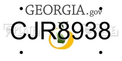CJR8938 Georgia License Plate