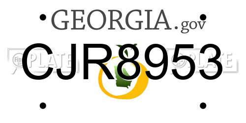 CJR8953 Georgia License Plate