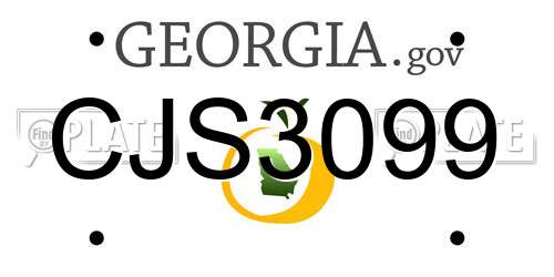 CJS3099 Georgia License Plate