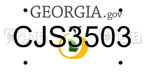 CJS3503 Georgia License Plate