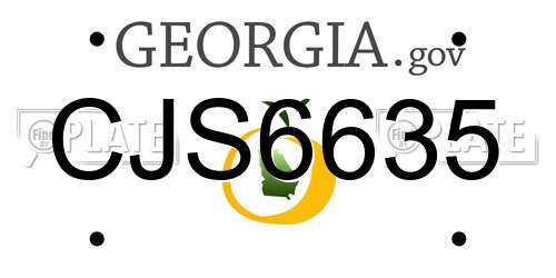 CJS6635 Georgia License Plate