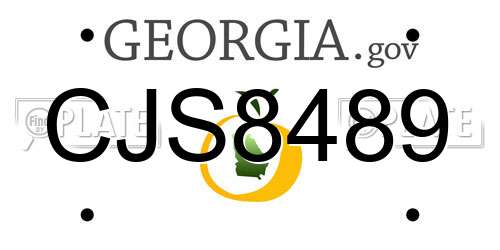CJS8489 Georgia License Plate