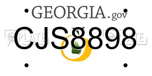 CJS8898 Georgia License Plate