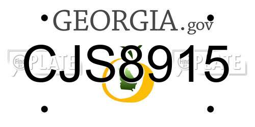 CJS8915 Georgia License Plate