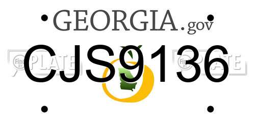 CJS9136 Georgia License Plate