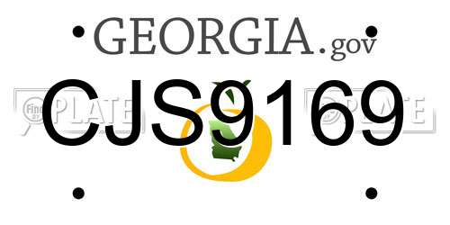 CJS9169 Georgia License Plate