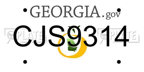 CJS9314 Georgia License Plate