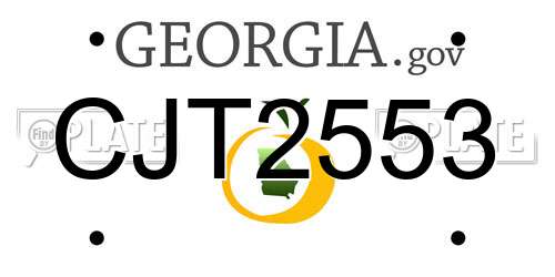 CJT2553 Georgia License Plate