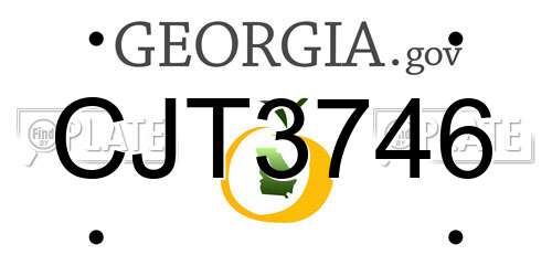 CJT3746 Georgia License Plate