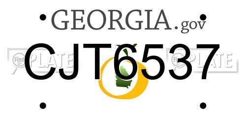 CJT6537 Georgia License Plate