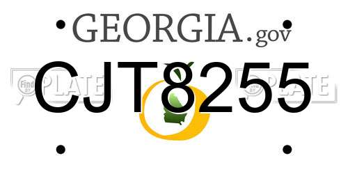 CJT8255 Georgia License Plate