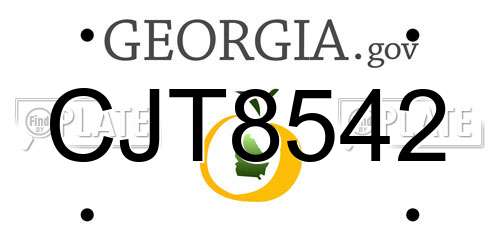 CJT8542 Georgia License Plate