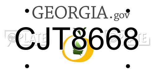 CJT8668 Georgia License Plate