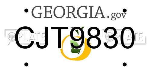 CJT9830 Georgia License Plate