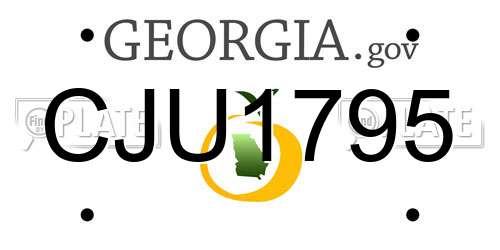 CJU1795 Georgia License Plate