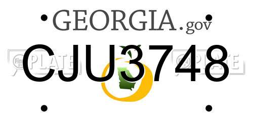 CJU3748 Georgia License Plate