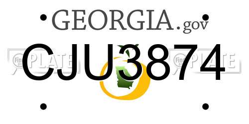 CJU3874 Georgia License Plate