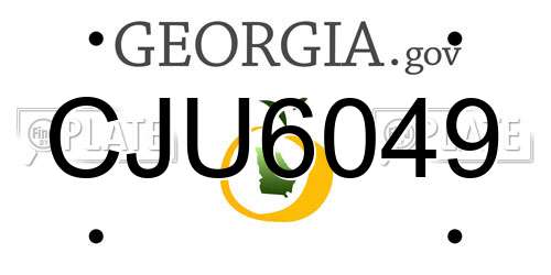CJU6049 Georgia License Plate