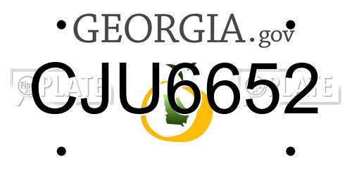 CJU6652 Georgia License Plate