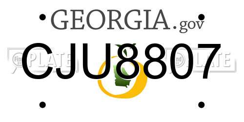 CJU8807 Georgia License Plate