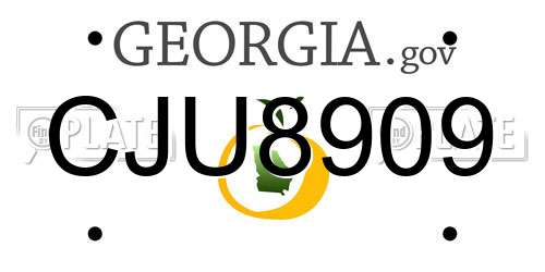 CJU8909 Georgia License Plate