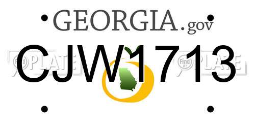 CJW1713 Georgia License Plate
