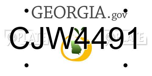 CJW4491 Georgia License Plate